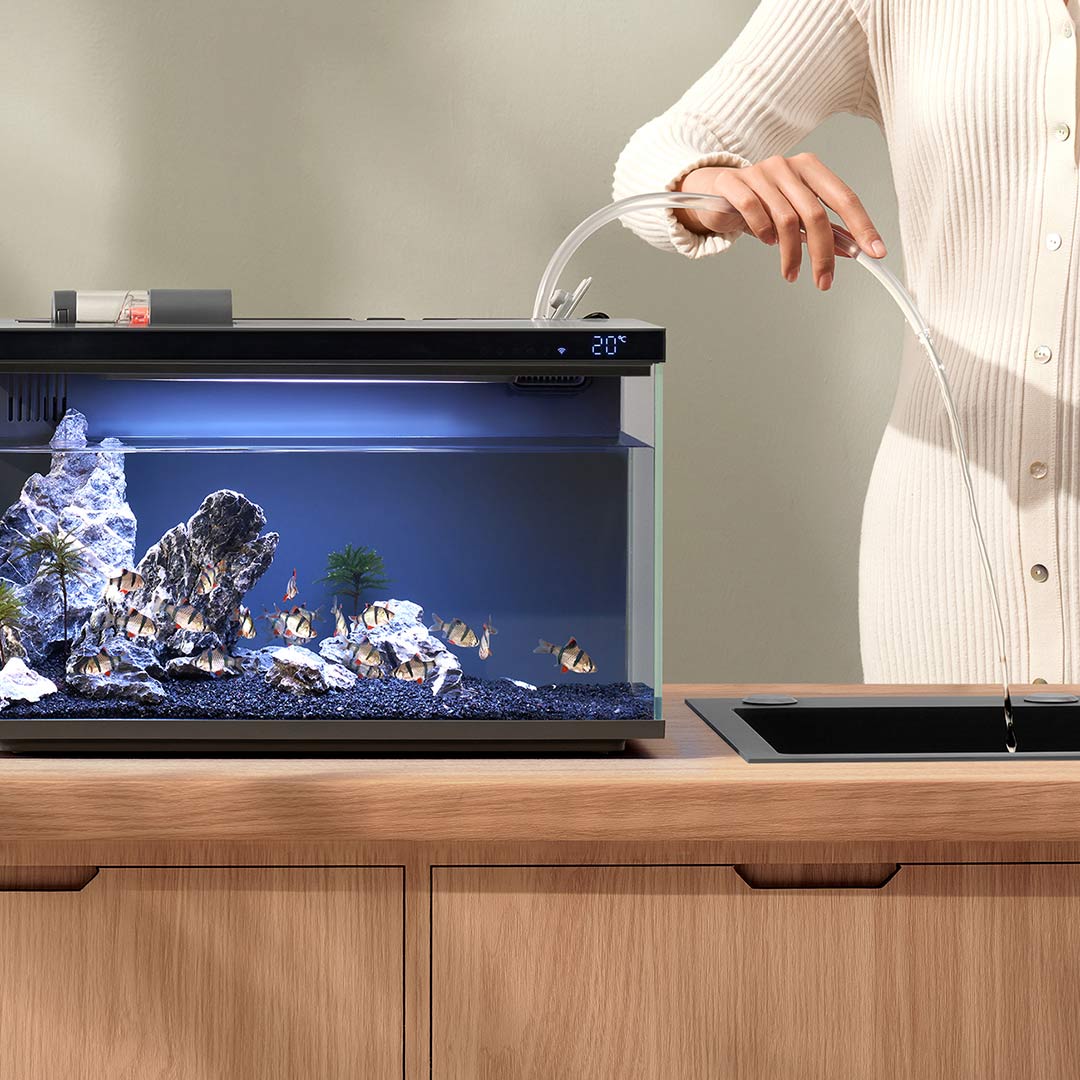 Xiaomi Mijia Smart Fish Tank M - Aquarium Xiaomi recensione e prezzo