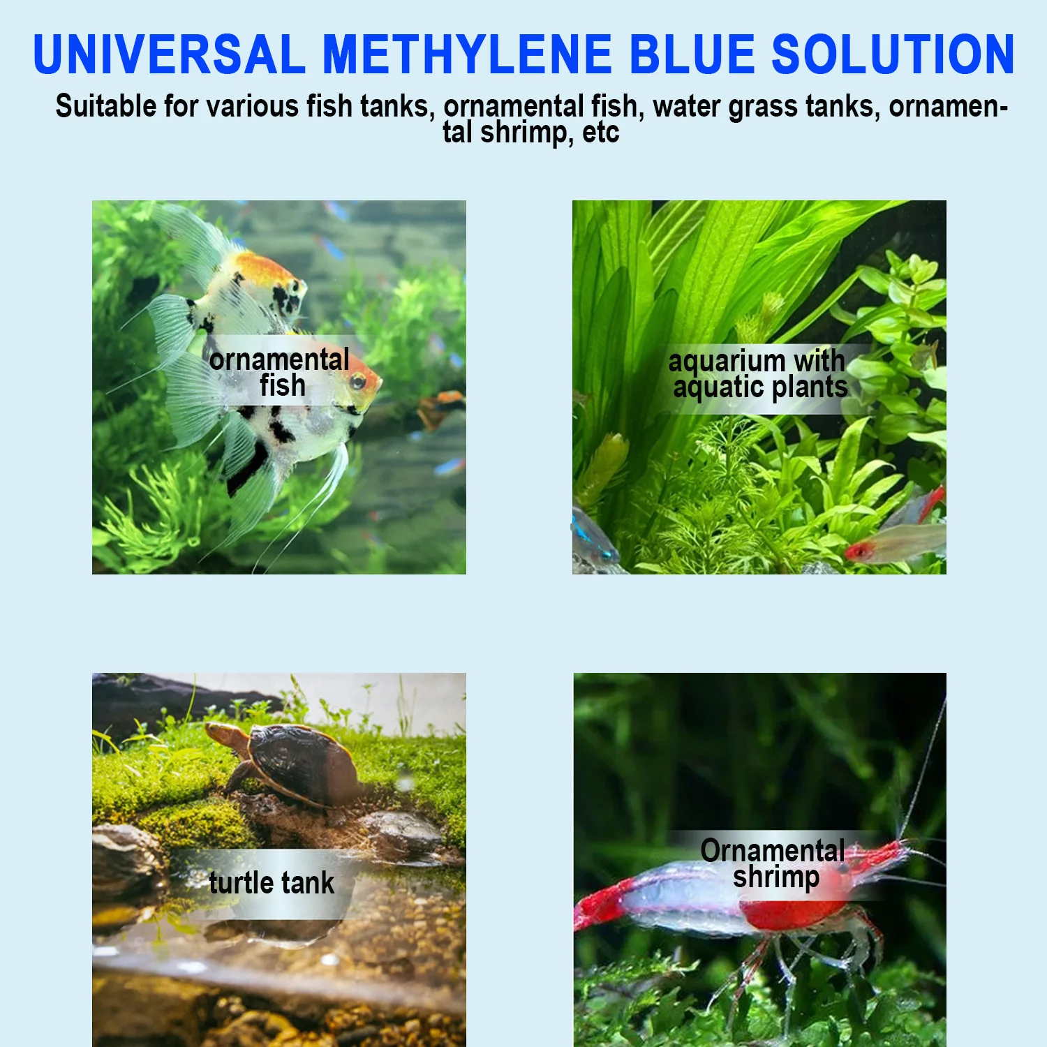 Acquario Metilene Pesce Blu Me - Aquarium Fish Parasites recensione e prezzo