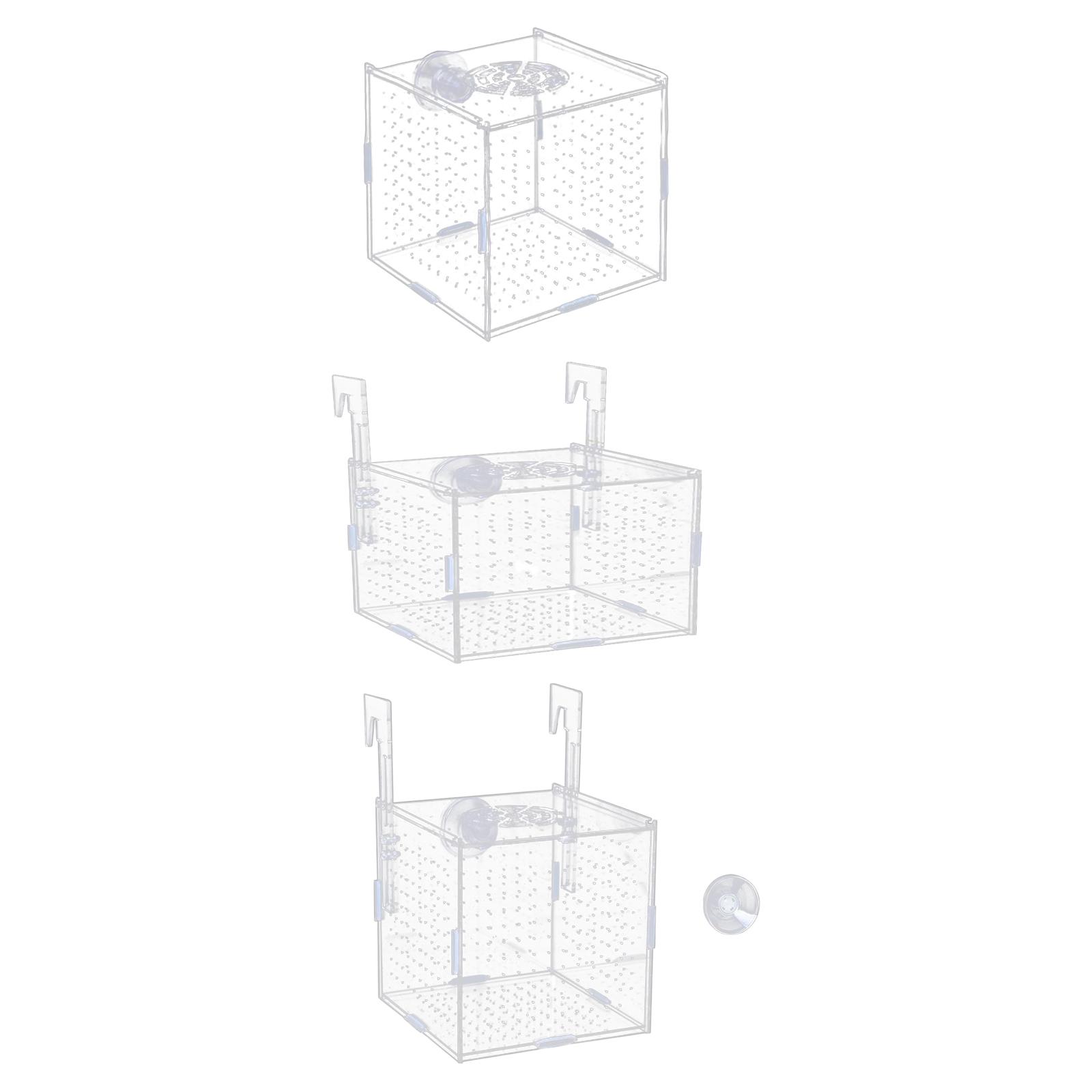 Scatola di Isolamento per Acqu - Aquarium Fish In Bowl recensione e prezzo