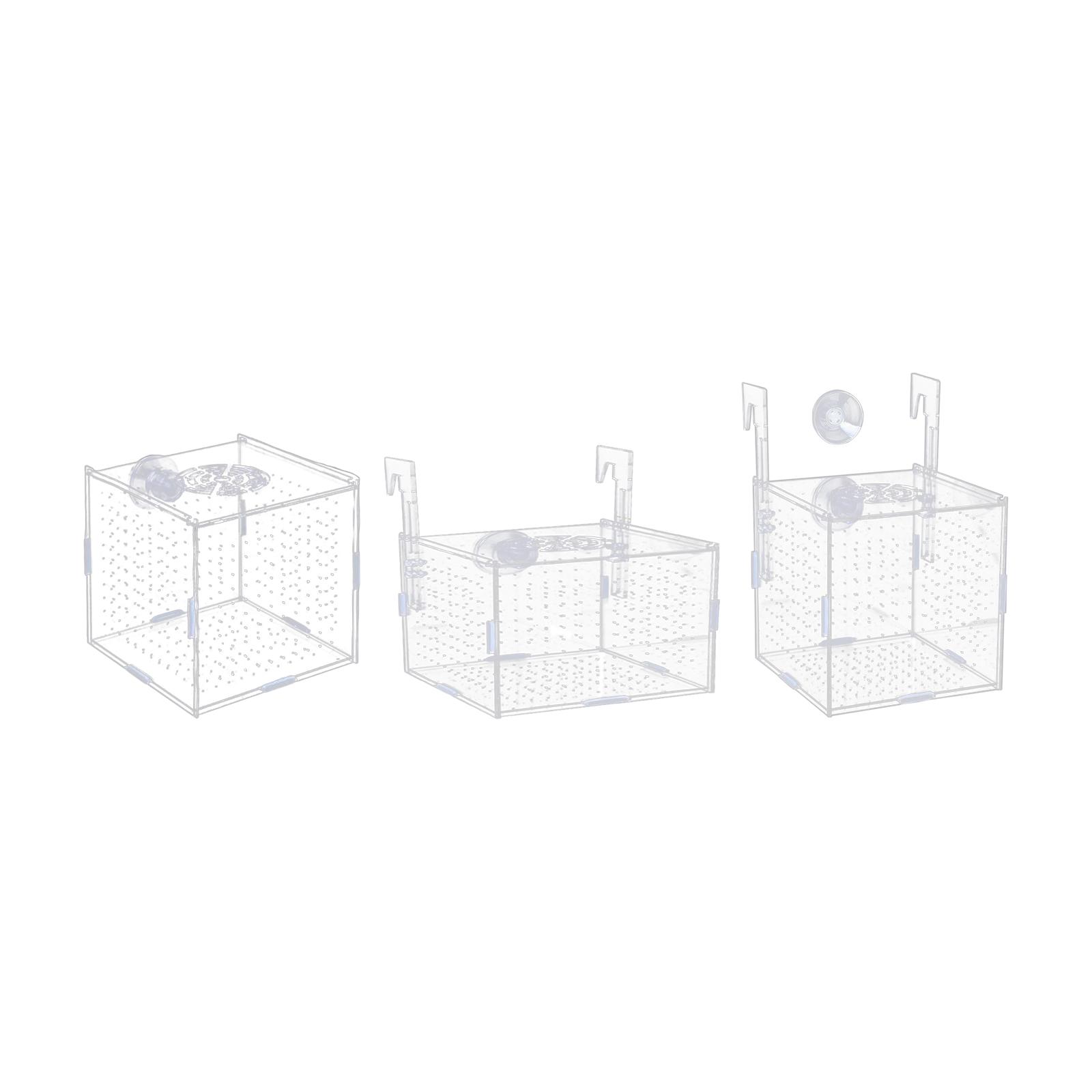 Scatola di Isolamento per Acqu - Aquarium Fish In Bowl recensione e prezzo