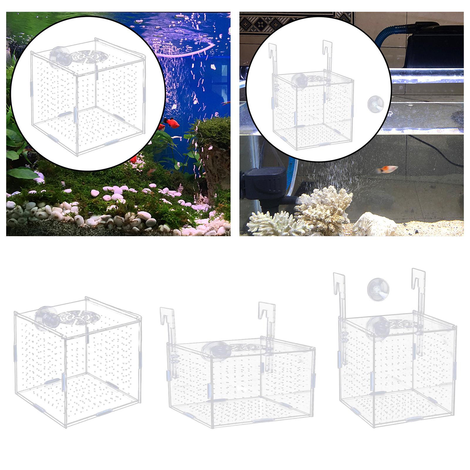 Scatola di Isolamento per Acqu - Aquarium Fish In Bowl recensione e prezzo