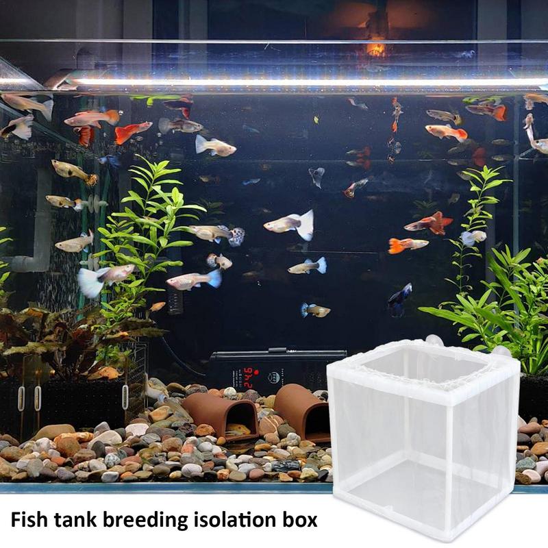 Scatola per allevamento di pes - Aquarium Fish Net recensione e prezzo