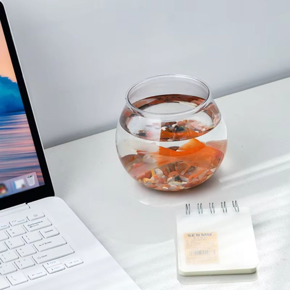 Nuovo acquario trasparente rot - Live Fish Aquarium recensione e prezzo