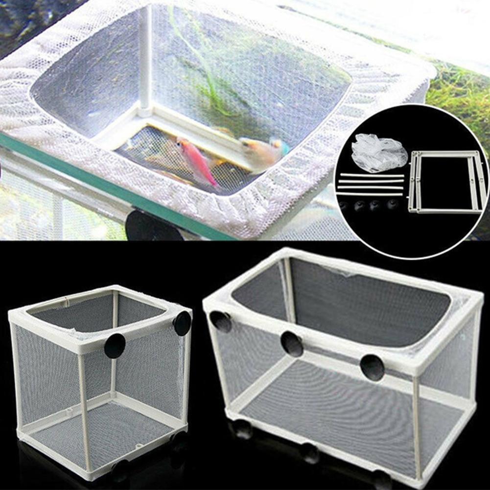 Scatola isolante per incubazio - Aquarium Fish Net recensione e prezzo