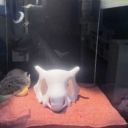 3D stampato FIsh Gamberetti Re - Aquarium Fish Cartoon recensione e prezzo