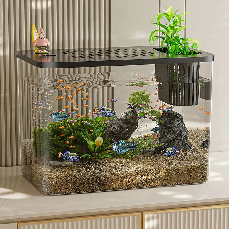 PET + ABS acquario nuovo trasp - Live Fish Aquarium recensione e prezzo