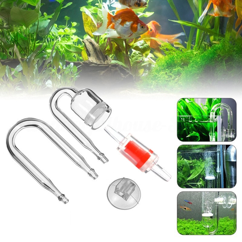 Set da 4 pezzi diffusore di CO - Live Fish Aquarium recensione e prezzo