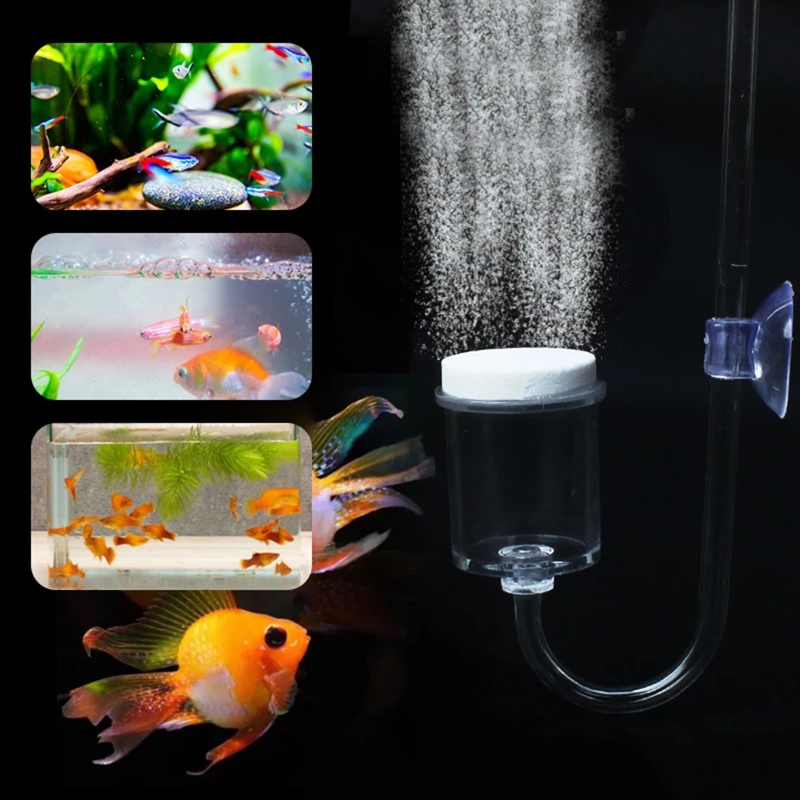 Set da 4 pezzi diffusore di CO - Live Fish Aquarium recensione e prezzo