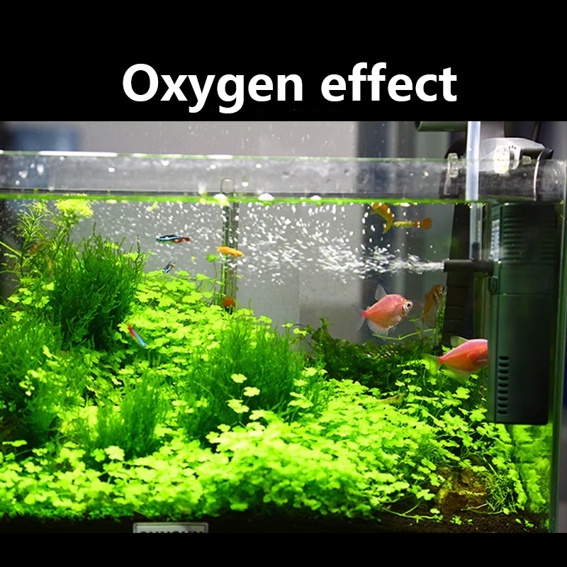 SUNSUN mini nano 111B 311B 611 - Aquarium Fish Quarantine recensione e prezzo