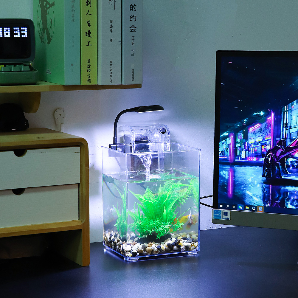 Set di acquari da tavolo USB-f - Live Fish Aquarium recensione e prezzo