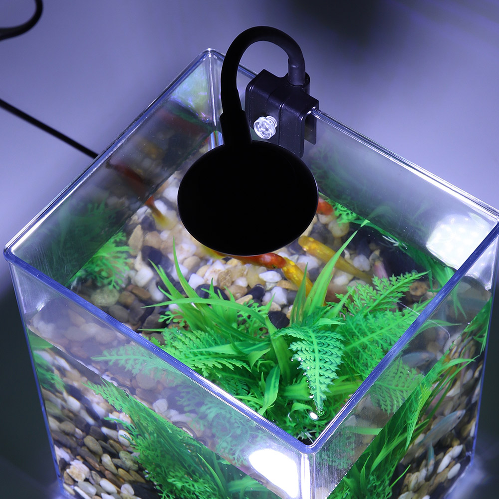 Set di acquari da tavolo USB-f - Live Fish Aquarium recensione e prezzo